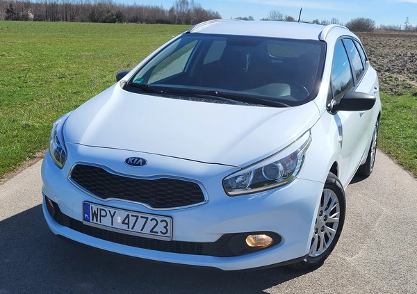 Kia Ceed cena 35777 przebieg: 131000, rok produkcji 2015 z Janów Lubelski małe 407